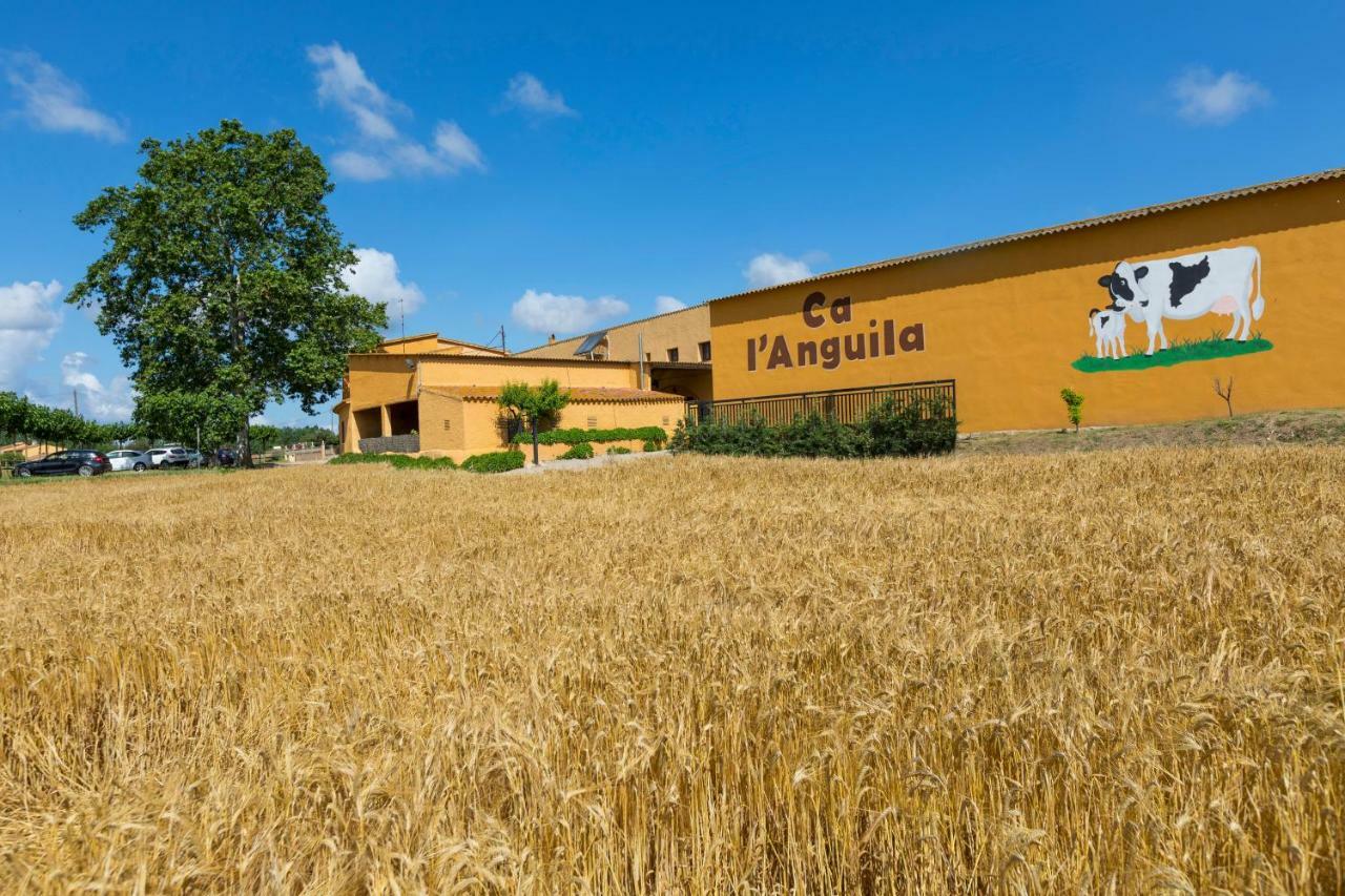 퍼라탈레다 Turisme Rural Ca L,Anguila 게스트하우스 외부 사진